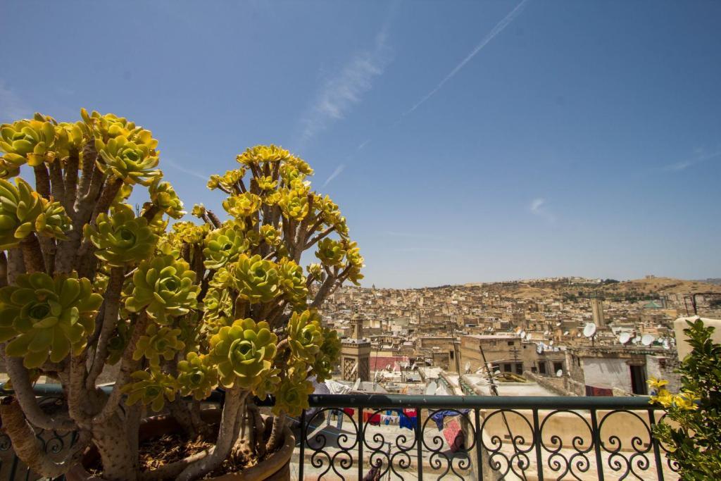 Riad La Source Bleue Fès Zimmer foto